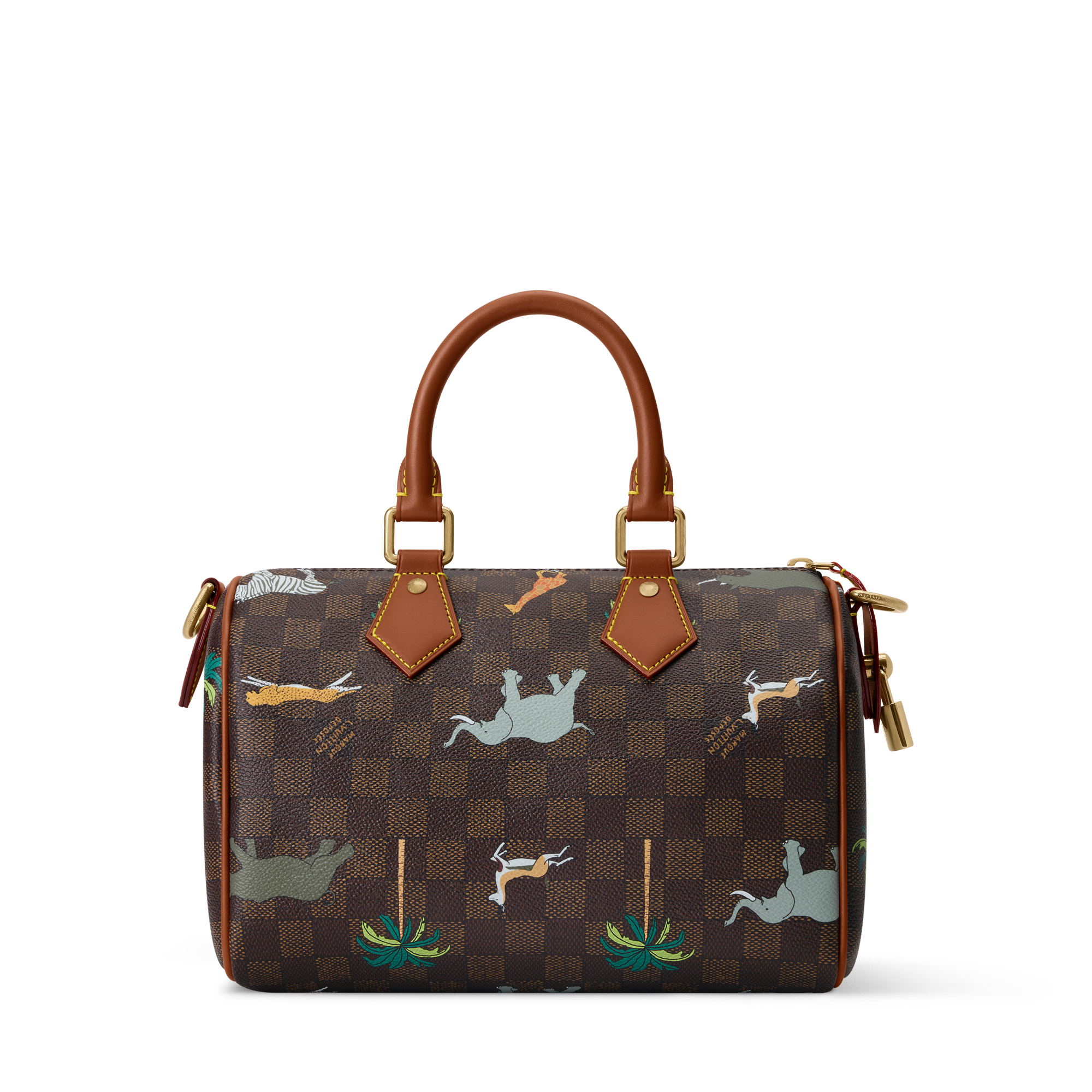 Speedy 25 Bandoulière x The Darjeeling Limited Damier Other - Bags
